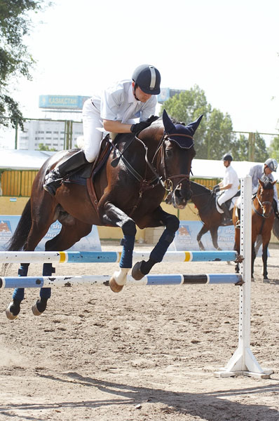    - Asian Equestrisns Games. . .     .