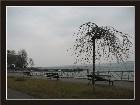  - Geneva's lake -  - Geneva, Switzerland