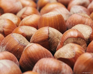    :  wallpaper-  ! Acorns