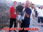  - Libanon Crises and I ... - Majazer Lobnana (Horror Photo) Not For KIds Please!!!