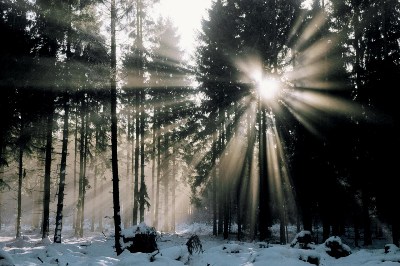   Krasa Winter mist, westerwald, germany