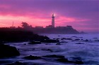   Krasa Pigeon point at dawn, san mateo county, california