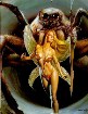    - boris vallejo boris vallejo and others