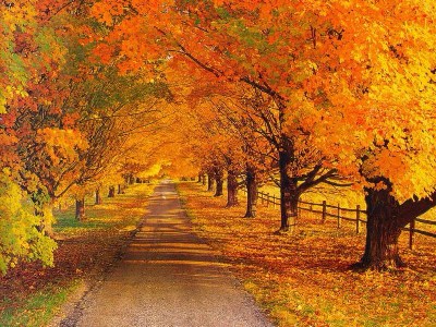   ,  - Autumn pictures