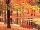  ,  - Autumn pictures