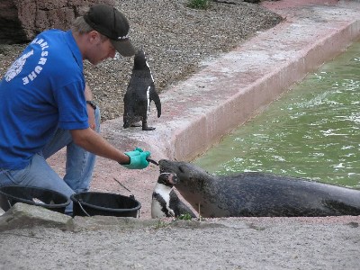   Zoologischer Garten Karlsruhe   . 