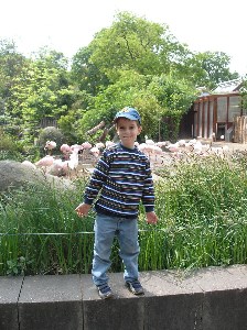   Zoologischer Garten Karlsruhe   . 