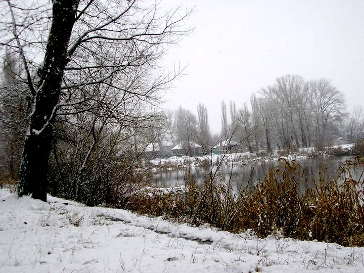   The First Snow 20-Nov-2005 ̳ 