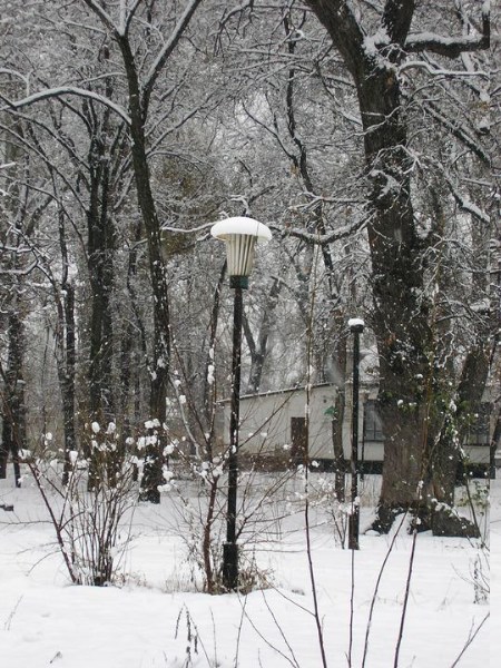   The First Snow 20-Nov-2005 ̳ 