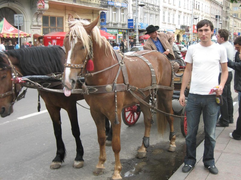    - 2006.05.20-21   misto Lviv