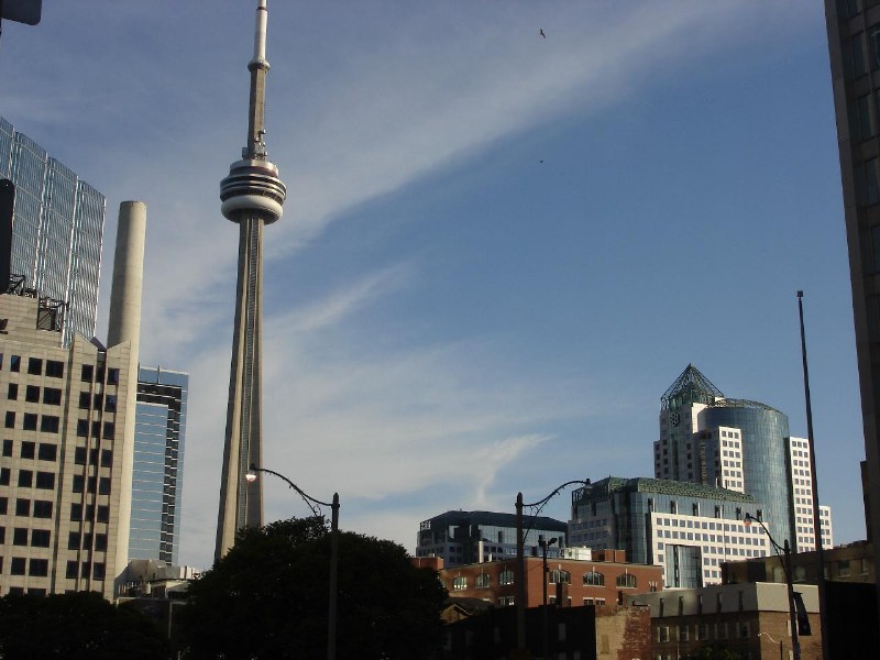   ,  -   /Toronto Pictures