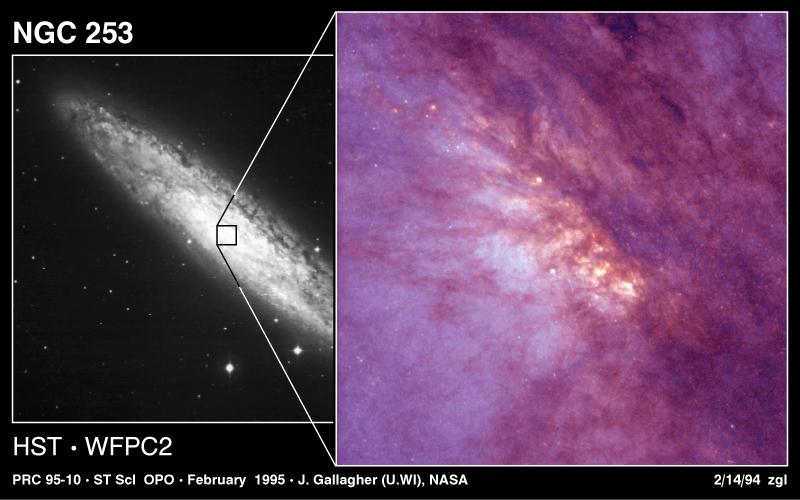      NGC 253