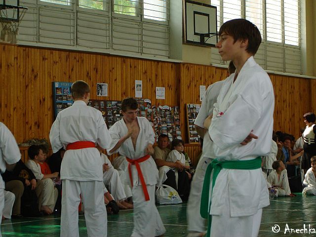   21/05/2006 Summing up - Year 2006/part 1 (c)Using these pictures without an official permission of Dojo karate club is PROHIBITED!