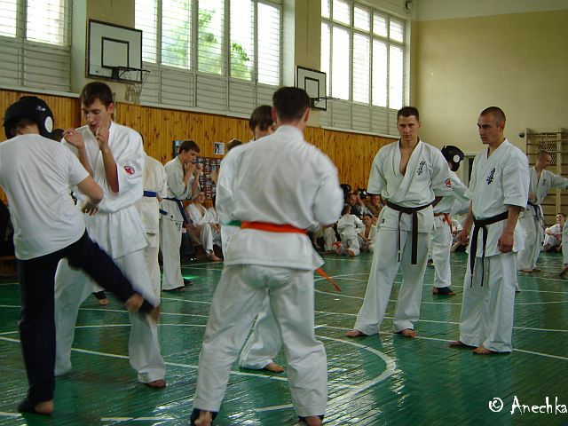   21/05/2006 Summing up - Year 2006/part 1 (c)Using these pictures without an official permission of Dojo karate club is PROHIBITED!