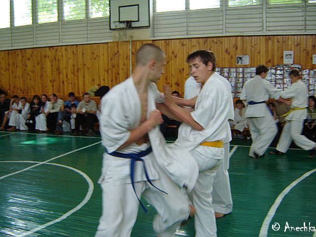   21/05/2006 Summing up - Year 2006/part 1 (c)Using these pictures without an official permission of Dojo karate club is PROHIBITED!