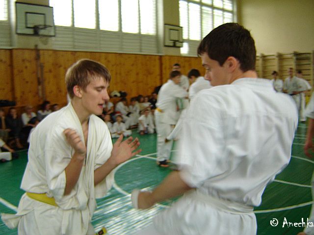   21/05/2006 Summing up - Year 2006/part 1 (c)Using these pictures without an official permission of Dojo karate club is PROHIBITED!