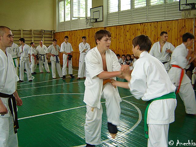   21/05/2006 Summing up - Year 2006/part 1 (c)Using these pictures without an official permission of Dojo karate club is PROHIBITED!