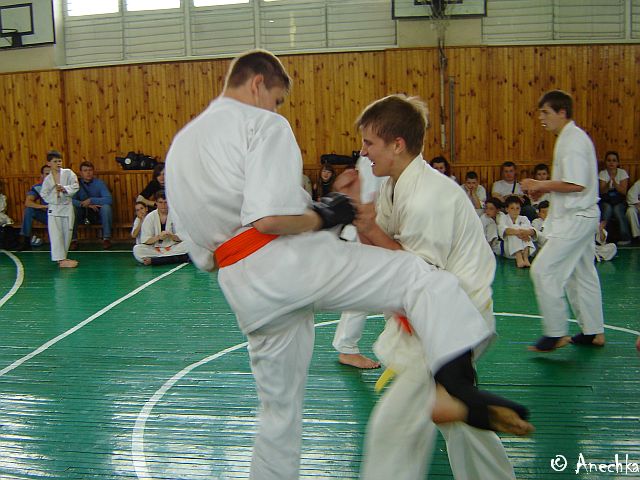   21/05/2006 Summing up - Year 2006/part 1 (c)Using these pictures without an official permission of Dojo karate club is PROHIBITED!