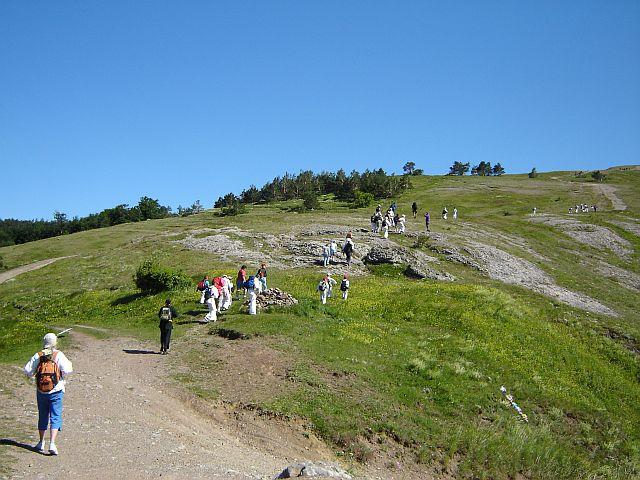   Dojo Summer camp 2006! ($300)