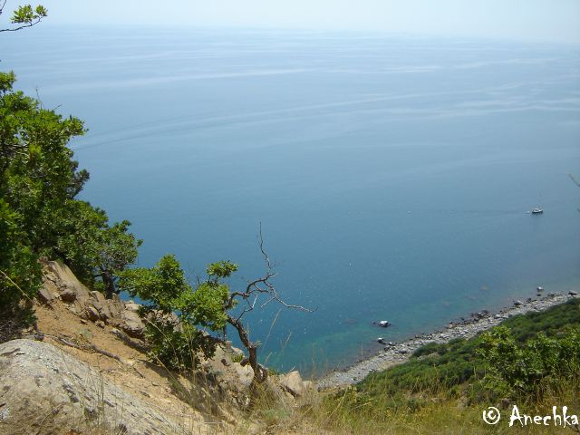   Dojo summer camp Crimea 2005 -  2005