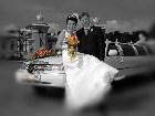  - DVStudia -  - Wedding DVS