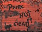  - punk not dead -  