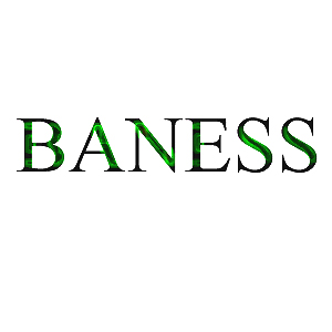   BANESS