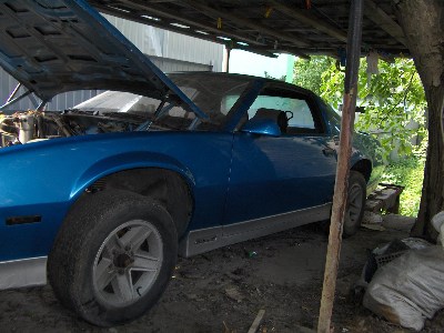   camaro HPIM6036.JPG