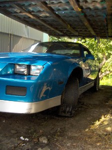   camaro HPIM6039.JPG