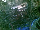   camaro 06052011_002.jpg