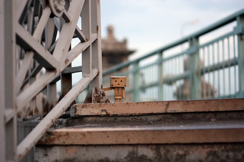      Danbo 059.jpg