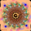    -   ... Mandala    Watermark2.jpg