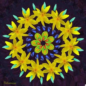    -   ... New Mandala879 watermark.jpg