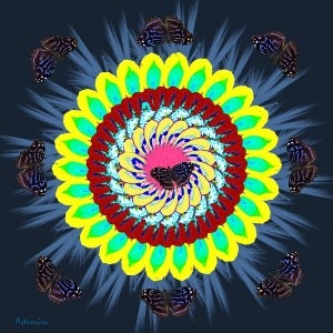    -   ... New Mandala Butterfly Watermark.jpg