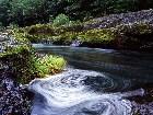  - oregon_swirling_eddy ... - 