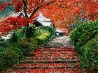  - GardenStaircaseKyoto ... - 