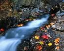    fall_creek.jpg