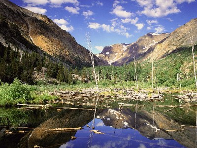    Beaver Pond, Lundy Canyon, Sierra Nevada Range, California.jpg