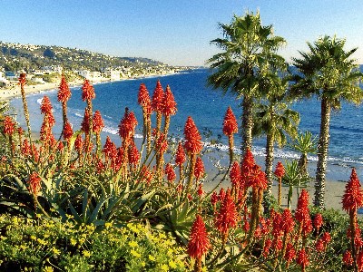    Laguna Beach Landscape, California.jpg