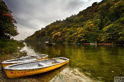    2014 (  ) 2arashiyama1.jpg